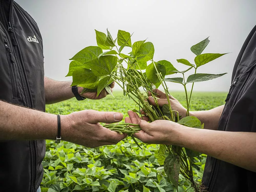  - Illustration D’aucy s’engage pour la transition agricole et alimentaire