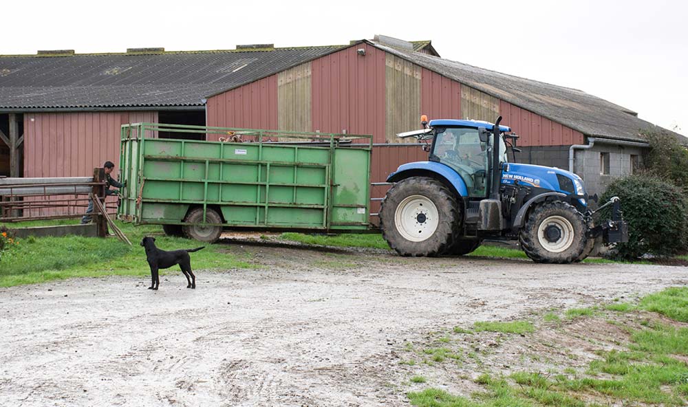  - Illustration Baisse de la collecte en Bretagne : «Pourquoi j’ai abandonné le lait…»