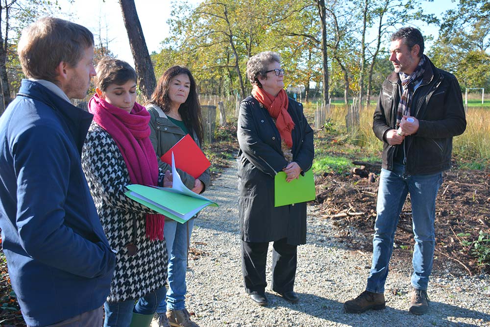  - Illustration Les plantations prennent l’accent du sud