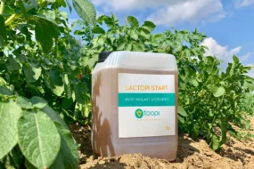 biostimulant urine toopi lactopi start