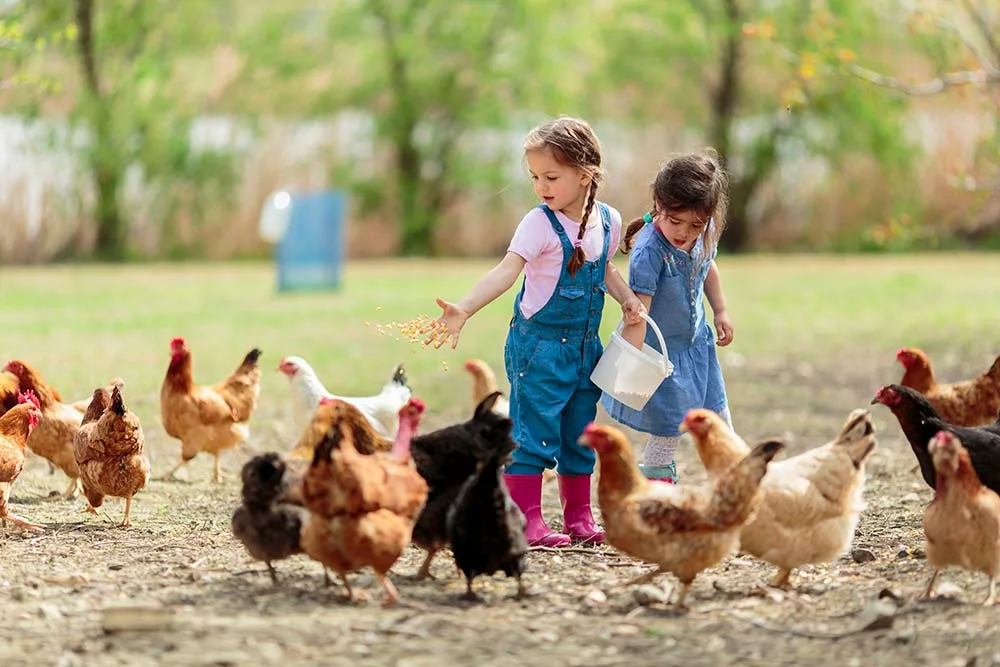  - Illustration L’accueil d’enfants en vacances, une activité souple