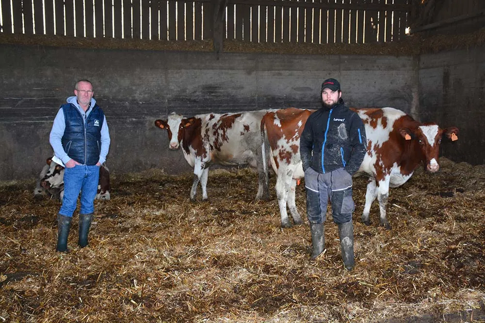  - Illustration Le troupeau passe en Pie Rouge