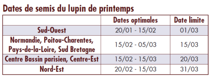 230117 lup implantation 23 pad illustration date semis