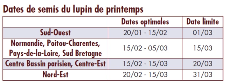 230117 lup implantation 23 pad illustration date semis