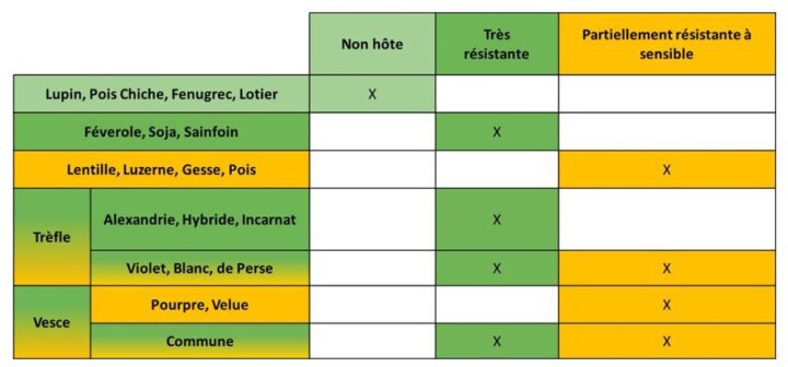 tableau lentille terres innovia