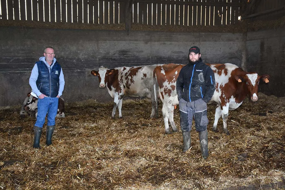 14363.hr - Illustration Le troupeau passe en Pie Rouge