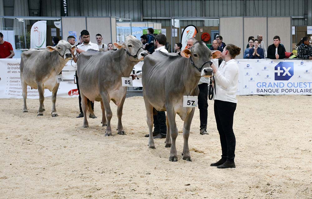 15351.hr - Illustration Interrégional en Brune à la Foire de Rennes