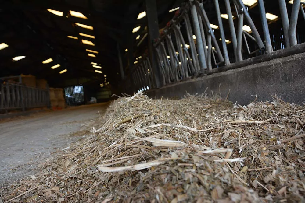 15198.hr - Illustration La paille broyée remplacée par du colza