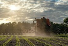 Photo of Écophyto 2030 : Lancement du chantier sur les alternatives