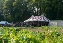 Photo of Soir de Serr’Party