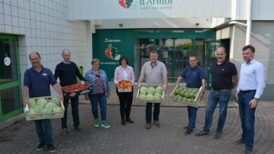 Photo of La tomate bio a perdu  un quart de sa valeur