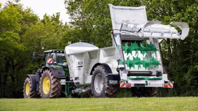 Photo of Pichon se pare de vert