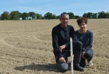 Photo of 6 km de clôtures pour se protéger des sangliers