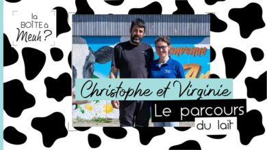 Photo of La boîte à Meuh ? L’élevage des vaches sur Youtube