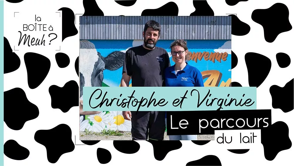 bam vignette youtube video t2 prez christophe et virgnie - Illustration La boîte à Meuh ? L’élevage des vaches sur Youtube