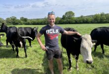 Photo of Podcast: Il ramène le système néo-zélandais dans sa ferme morbihannaise