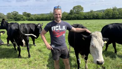 Photo of Podcast: Il ramène le système néo-zélandais dans sa ferme morbihannaise