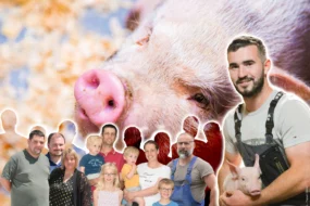 De nouveaux visages en porc