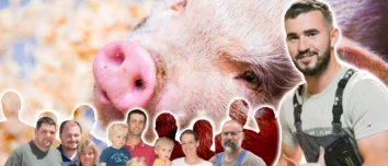 De nouveaux visages en porc
