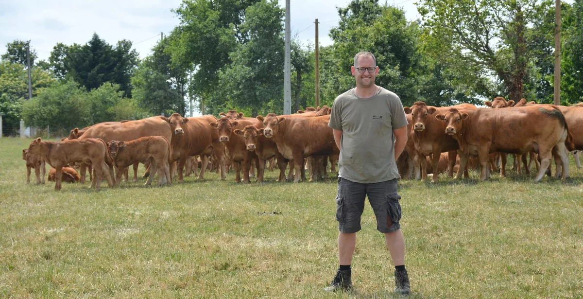 16598.hr - Illustration Moins d’animaux improductifs sur la ferme