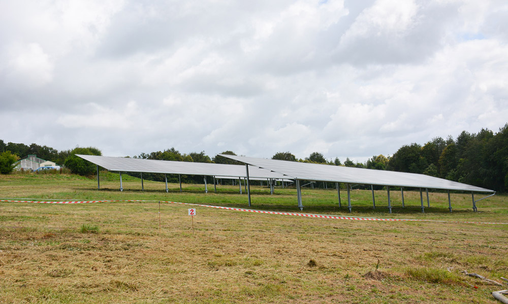 16966 hr light - Illustration Des abris photovoltaïques dans le parcours des pondeuses