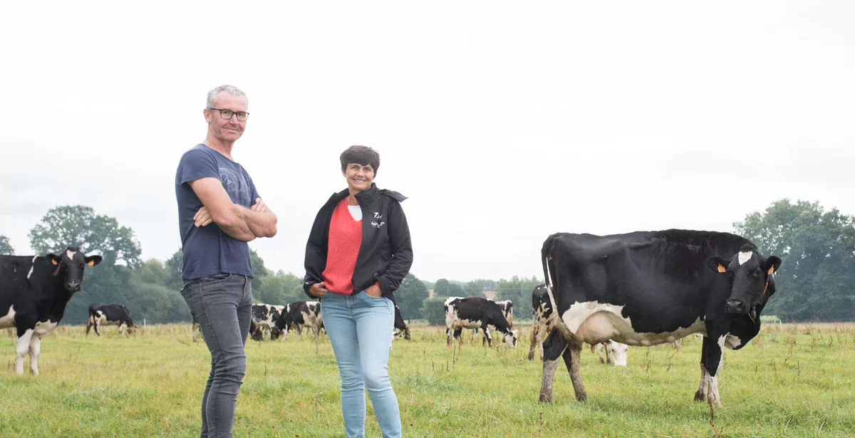 17270.hr - Illustration L’herbe fraîche est la carotte pour attirer les vaches au robot