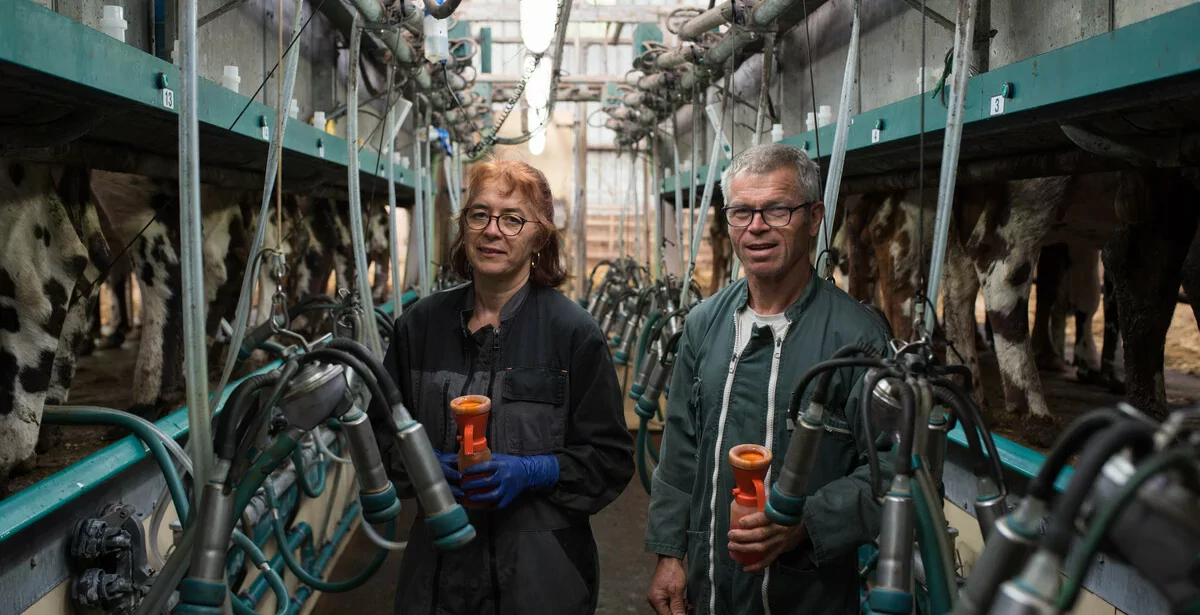 17343.hr - Illustration À la traite aux premières loges