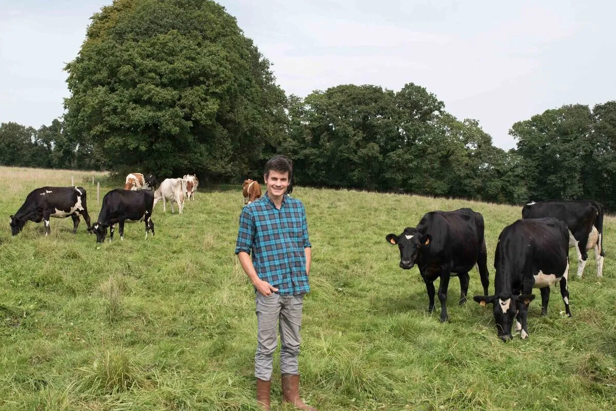 17454.hr - Illustration De l’herbe et du revenu