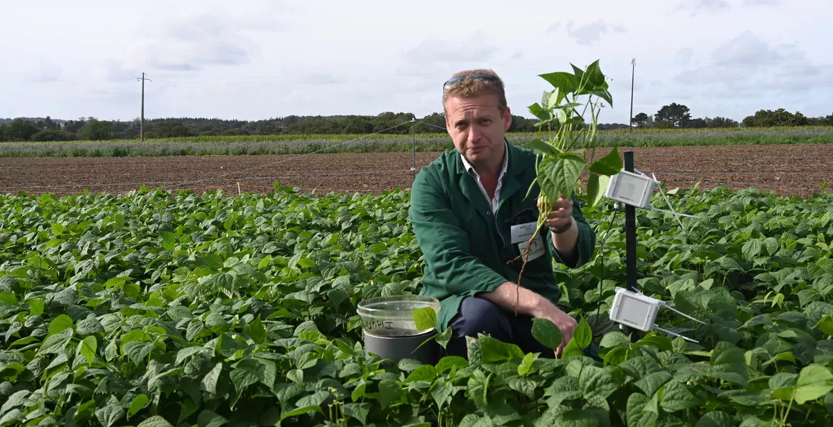 17476.hr - Illustration Unilet : Pour des légumes plus verts