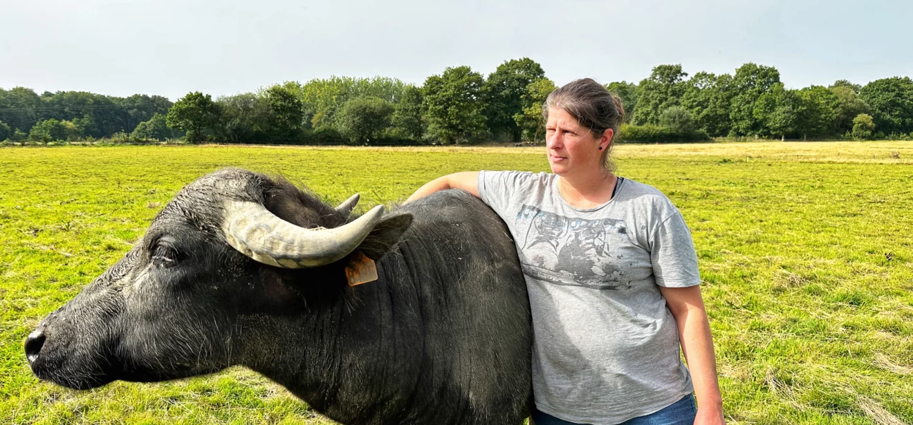 img 8906 - Illustration Podcast: Elle élève des bufflonnes laitières