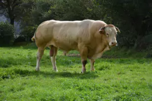 17537.hr