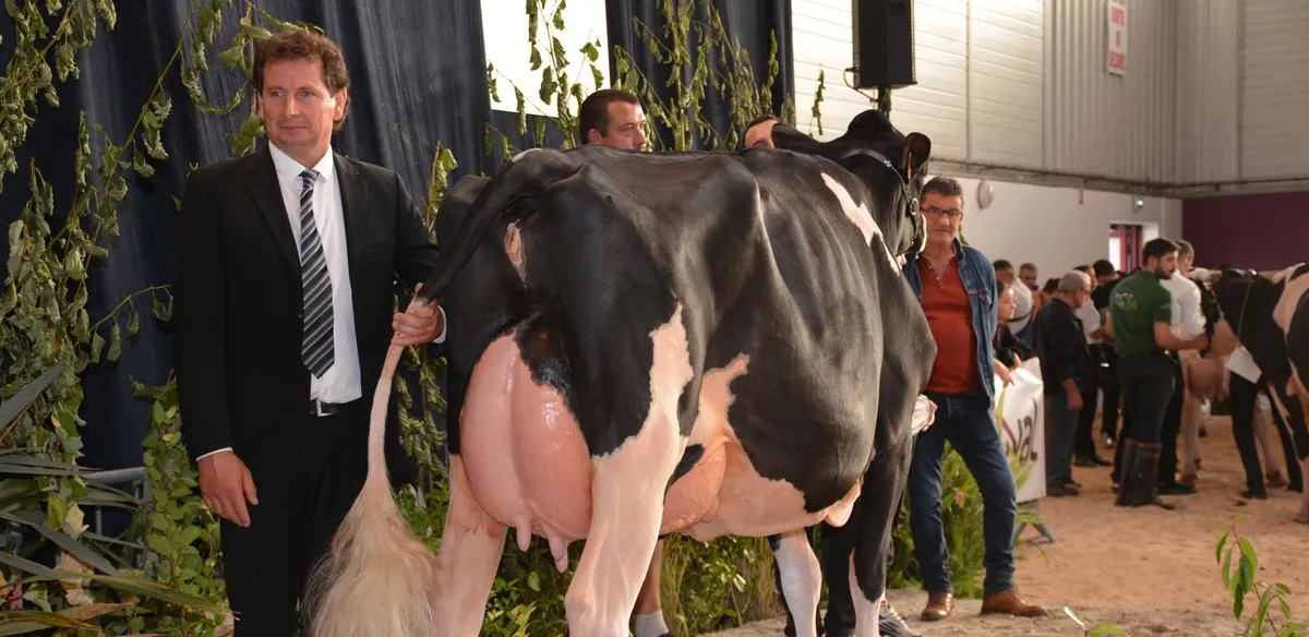 17781 hr - Illustration Ocarine des Fleurs rayonne à Ohhh la vache