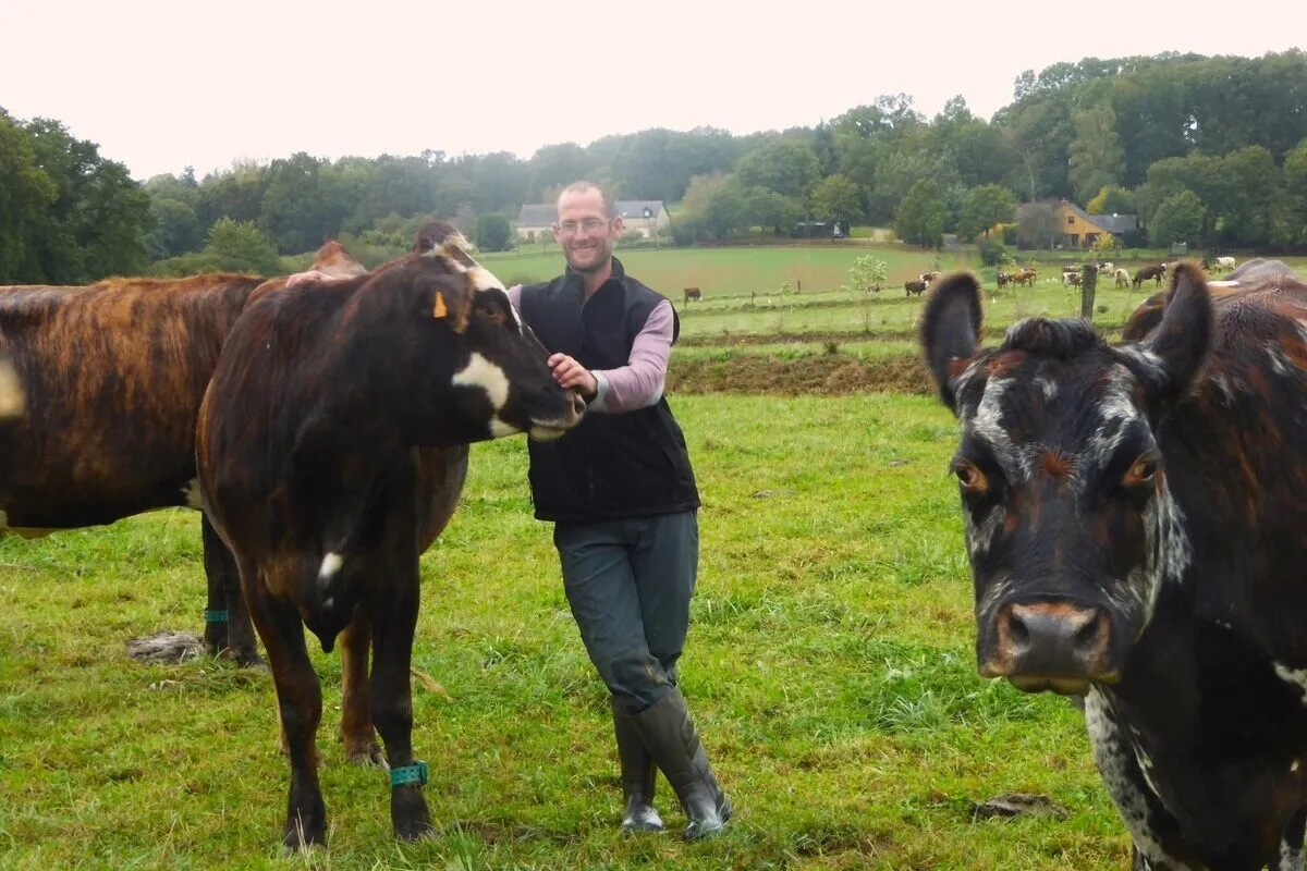 17879.hr - Illustration Élever ses veaux sous nourrices laitières et allaitantes