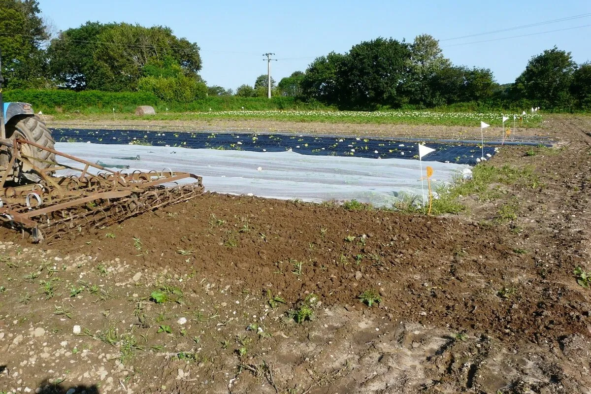 17950.hr - Illustration Trois itinéraires techniques comparés