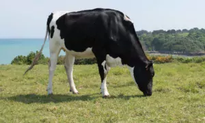 18213 hr