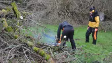 une femme coupe une branche a la tronçonneuse light