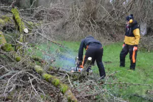 une femme coupe une branche a la tronçonneuse light