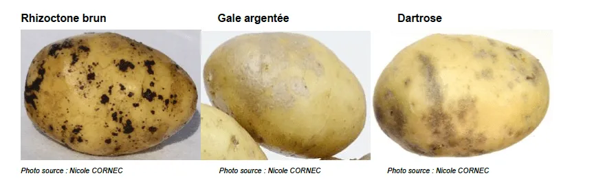 capture d’écran 2024 03 05 à 10.17.49