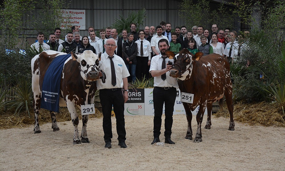 les championnes normandes avec les éleveurs du concours - Illustration Pataya élue Grande championne