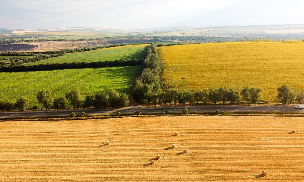 19905.hr light - Illustration Crédits d’impôt pour l’agriculture durable : vérités et mythes