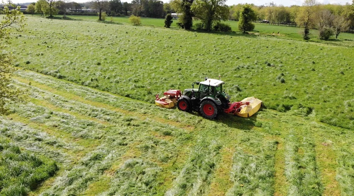 Fauche
de graminées
à 7 cm pour redonner
de la lumière
aux trèfles.
