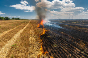 Feu de moisson