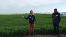 Lors d'une rencontre autour du lin