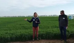 Lors d'une rencontre autour du lin