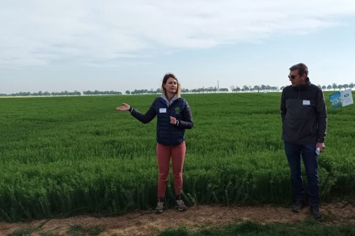Lors d'une rencontre autour du lin
