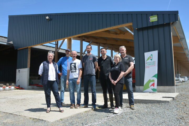 Personnes devant un bâtiment génisses