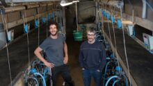 Les éleveurs laitiers Paul et Patrice Hamoniaux dans leur salle de traite.