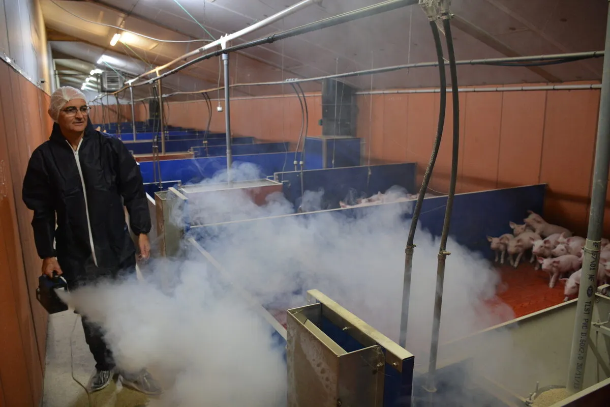 Fumigation dans une salle de post sevrage pour détecter les problèmes de circuit d’air  de ventilation. - Illustration Améliorer rapidement ses performances