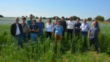 Groupe de personnes dans un champ de lin