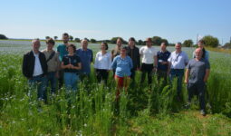 Groupe de personnes dans un champ de lin